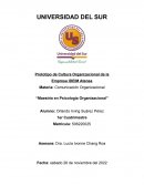 Comunicación Organizacional IDEIM