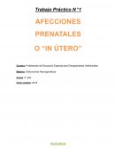 Trabajo Práctico N°1 AFECCIONES PRENATALES O “IN ÚTERO”