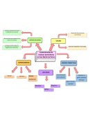 San Martín de Porres, contaminación de basura por el mal manejo de la municipalidad (circunstancias, tiempo que viene estando la basura acumulada)