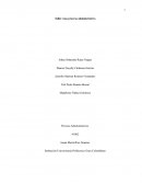 Taller caso proceso administrativo