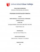 VISION INDIVIDUAL Y COLECTIVA DE LA PROPIEDAD