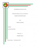 LOS PROBLEMAS AMBIENTALES Y SUS CONSECUENCIAS