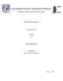 La funcionalidad, La eficacia y eficiencia; causantes de un mundo acelerado
