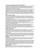 ¿Por qué son importantes los tallos de las plantas?