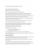 Estructura del apego