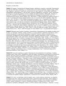 LINGUÍSTICA Y GRAMÁTICA I Programa y resumen final