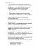 Cuestionario ordenadores