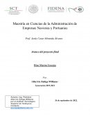 PROYECTO FINAL Blue Marine