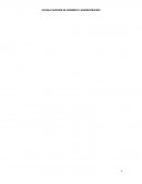 Derechos de las personas