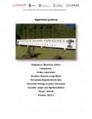 ﻿Ingeniería química. Mecánica clásica