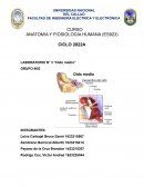 LABORATORIO N° 3 “Oído medio”