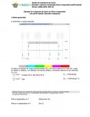 Ejemplo de columnas de acero en flexo-compresión con perfil tubular (Sección compacta)