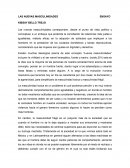 ENSAYO-LAS NUEVAS MASCULINIDADES