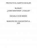 Proyecto de Huerto escolar