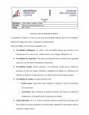 Resumen sobre la Pirámide de Maslow