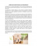 Cómo son constituidos los fideicomisos?