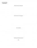 Solución proyecto de aplicación