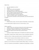 Arquitectas mexicanas Tatiana Bilbao y Fernanda Canales