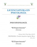 El Experimento (Análisis)
