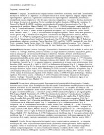 LINGUÍSTICA Y GRAMÁTICA I Programa y resumen final. Página 1
