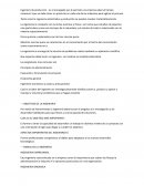 RESUMEN INTRODUCCION A LA INGENIERIA