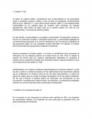 IDENTIDAD VENEZOLANA