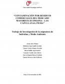 CONTAMINACIÓN POR RESIDUOS COMERCIALES DEL MERCADO MAYORISTA ECOMAPSA – LAS CAPULLANAS, PIURA