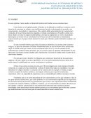 BIOARQUITECTURA. EL HOMBRE