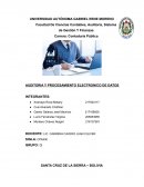 AUDITORIA Y PROCESAMIENTO ELECTRONICO DE DATOS