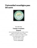 ¿Qué sucede cuando la energía eléctrica se va y regresa repentinamente?