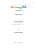 Plan estratégico logístico caso RAMO