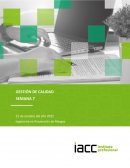 GESTION DE CALIDAD SEMANA 7 inmobiliaria “CMCJ”