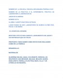 PRACTICA DE LABORATORIO E LABORACION DE JABON DE GLISERINA