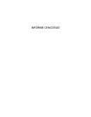 INFORME CENCOSUD S.A