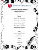 Proyecto Identidad Vallejo, titulado “Vallejo Exitoso”