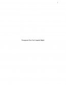 Presupuesto Para Una Campaña Digital