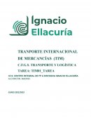 TRANPORTE INTERNACIONAL DE MERCANCÍAS (TIM)