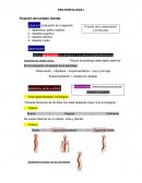 Examen del estado mental