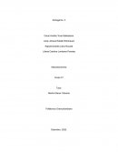 Trabajo Final Macroeconomía. Balanza de Pagos