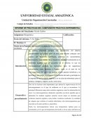 INFORME DE PRÁCTICAS DEL COMPONENTE PRÁCTICO-EXPERIMENTAL