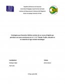 Estrategias que fomenten hábitos sociales de un recreo dirigido que permitan una sana convivencia en la U .E.E “Estado Trujillo