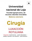 INFORME SOBRE LUXACIÓN