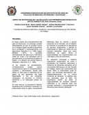 Enfermedad renal en gatos