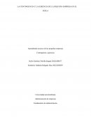 LA CONTINGENCIA Y LA GERENCIA DE LA PEQUEÑA EMPRESA EN EL HUILA