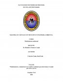 Modelamiento y simulación de un acuífero confinado para determinar el caudal que entra a un rio
