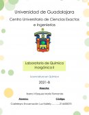Práctica 2 Reacciones y comportamiento químico de los elementos del grupo 12