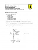 Enlaces atómicos y estructuras cristalinas