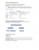 DATOS PRIMARIOS: INVESTIGACIONES CUALITATIVA Y CUANTITATIVA