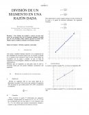 DIVISIÓN DE UN SEGMENTO EN UNA RAZÓN DADA