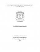 Informe maduración de la carne corte (Pepino)